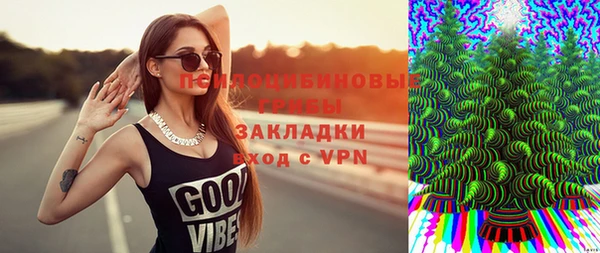 индика Алзамай