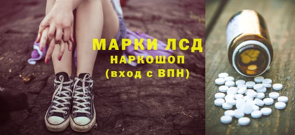 индика Алзамай