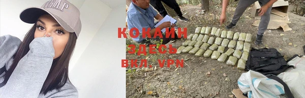 индика Алзамай