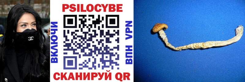 Псилоцибиновые грибы Psilocybe цены MEGA вход Люберцы