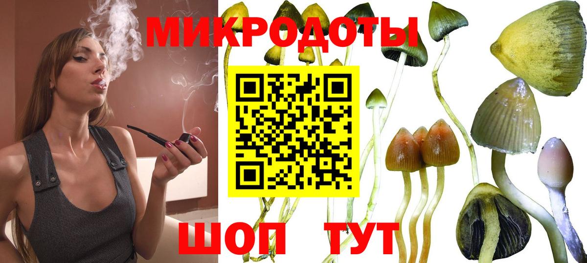 Псилоцибиновые грибы прущие грибы  Вход с VPN  Люберцы 